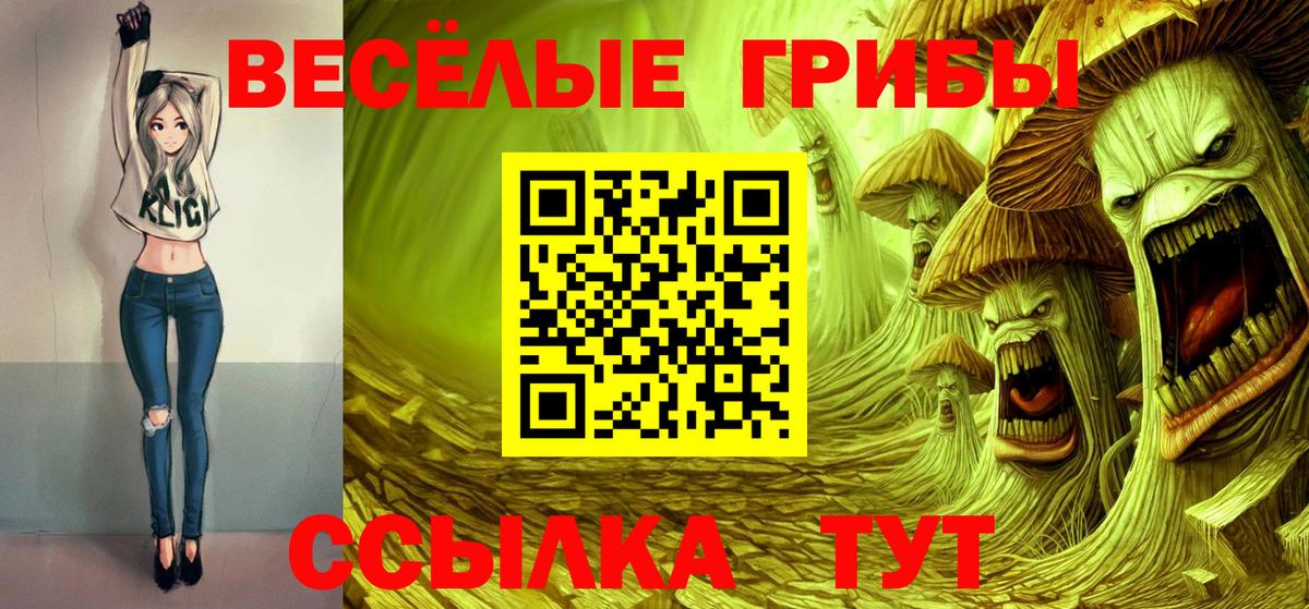 где найти   Вход с VPN  Одинцово  Псилоцибиновые грибы MAGIC MUSHROOMS  Псилоцибиновые грибы MAGIC MUSHROOMS 